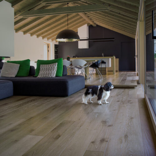 Дуб Обыкновенный Скрученный Кастор Дуб Обыкновенный Скрученный Кастор