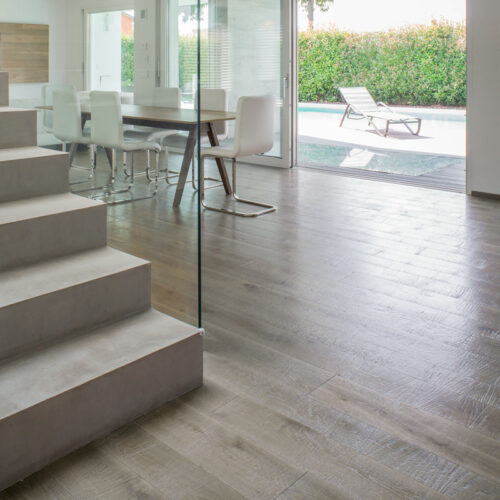 Дуб Обыкновенный Скрученный Старый Деревенский