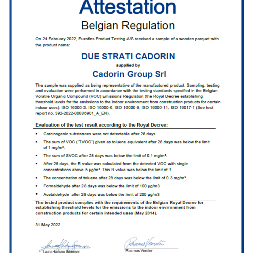 BELGIAN-2STR due strati voc